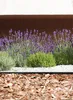 Bordure Garden Border 0645, 4,8 m, noire, 24 piquets Voir les images du produit 21