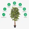 HOMESCAPES Kunstbaum Ficus Benjamini grün 180 cm Produktbild-Vorschau 5