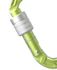 Edelrid Hms Strike Screw Karabinerhaken Grün  Grün One Size Produktbild-Vorschau 2