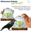 Illustration showing plant protection domes with various animals trying to reach the plants inside. Produktbild-Vorschau