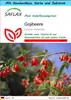 SAFLAX Geschenk Set - Gojibeere - Lycium chinensis - 200 Produktbild-Vorschau 1