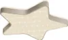 A star-shaped LED ceiling light. Náhled obrázku produktu