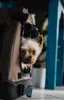 TrendPet Cassa pieghevole per cani TPX-Pro 50 Marrone Anteprima dell’immagine prodotto 4