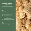 HORECA CANDLES Accendifuoco Naturali Fokus Firelighters 100 Anteprima dell’immagine prodotto 4