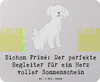 Mr. & Mrs. Panda Mouse Pad Bichon Frisé Freude - Grau Produktbild-Vorschau 1