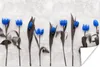 MuchoWow® Poster Blumen - Tulpen - Blau 30x20 cm - Plakate Produktbild-Vorschau 1