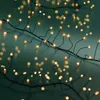 Kaemingk Lumineo Łańcuch świetlny Compact Twinkle 480 LED Podgląd zdjęcia produktu 1