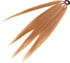 Helle braune Flecht-Haarverlängerungen, zusammengebunden mit einem schwarzen elastischen Haargummi, auf weißem Hintergrund aufgefächert Náhľad obrázku produktu
