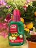 SUBSTRAL® 7391 SUBSTRAL® Eisendünger 250,0 ml Anteprima dell’immagine prodotto 6