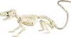 Skelett Ratte als Halloween Dekoration 20cm Produktbild-Vorschau 2