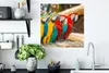 MuchoWow® Poster Vögel - Papagei - Tropisch - Natur 50x50 Produktbild-Vorschau 3