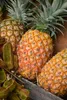 Kamelur® Bio Ananas ganze Ringe 1 kg Produktbild-Vorschau 3