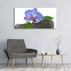 Acrylglasbilder 120x60 Wandbild Druck Blume Pflanzen Produktbild-Vorschau 3
