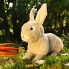 Rappa – Realistischer Plüschhase, 23 cm, aus der Produktbild-Vorschau 6