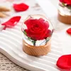 Rozen in Harsbal - Unieke Decoratie - Echte Rozen - Productafbeelding-voorbeeld 3