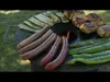 BonFeu - Plancha para barbacoa Vista previa de la imagen del producto 12