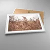 Gerahmtes Poster - Weißer Rahmen - Zuckerrohr Wiese Boho - Produktbild-Vorschau 3