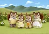 EPOCH Traumwiesen Sylvanian Families 4172 Noix Écureuil Voir les images du produit 14
