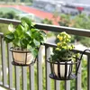 Two potted plants are hanging on a balcony railing, with a blurred background of a stadium and buildings. Produktbild-Vorschau