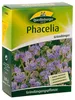 Phacelia 300 g |  Phaceliasamen von Quedlinburger Produktbild-Vorschau 1