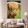 MuchoWow® Wandteppich Wandbehang Schottisches Hochlandrind Produktbild-Vorschau 5