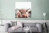 MuchoWow® Poster Schottischer Highlander - Berg - Hoorn Produktbild-Vorschau 5