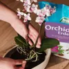 Westland Orchideenerde 8 l Produktbild-Vorschau 3