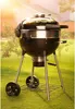 Napoleon Grills PRO22, Gril, Dřevěné uhlí (palivo), 2340 Náhled obrázku produktu 3