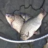Rete da pesca telescopica [180 cm] - Rete da pesca Anteprima dell’immagine prodotto 6
