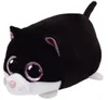 TY Teeny Tys CARA cat 10cm 42219 Náhľad obrázku produktu 1