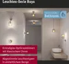 Paulmann LED Deckenleuchte Ruya Produktbild-Vorschau 3
