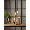 A collection of decorative light bulbs and a potted plant on a wooden shelf. Podgląd zdjęcia produktu