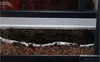 A close-up view of a layered substrate in a terrarium, showing drainage material, a separation layer, and soil. Anteprima dell’immagine prodotto
