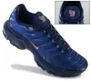 Nike Air Max Plus TN OG FFF - French Football Federation - Produktbild-Vorschau 1