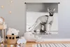 MuchoWow® Wandteppich Wandbehang Sportliche Sphynx-Katze Produktbild-Vorschau 3