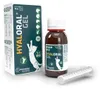 HYALORAL (Lösung) Produktbild-Vorschau 1