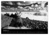 Strandspaziergang an der Ostsee (Wandkalender 2027 DIN A3 Produktbild-Vorschau 8