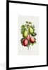 MuchoWow® Gerahmtes Poster Lebensmittel - Feigen - Pflanze Produktbild-Vorschau 1