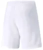 Puma Teamrise Kurze Hose Weiß L Mann Weiß L Produktbild-Vorschau 2