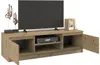 Topeshop RTV120 ARTISAN, Dąb, Płyta wiórowa, Dąb, Płyta Podgląd zdjęcia produktu 2
