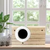 transparentes vogelhaus aus holz für garten, geeignet für Produktbild-Vorschau 6