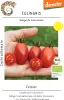 Cocktailtomate Celsior |  Cocktailtomatensamen von Produktbild-Vorschau 1