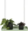 Esschert Design PY121, 380 mm, 150 mm, 21 mm, 1 Stück(e) Produktbild-Vorschau 3