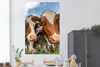MuchoWow® Poster Kühe - Tiere - Weide - Natur 120x180 cm - Produktbild-Vorschau 2