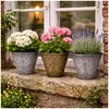 Blumentopf Nessa Ornamente Gold Silber 3er-Set Produktbild-Vorschau 1