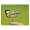 MuchoWow® Mauspad Mousepad Vogel - Kohlmeise - Tiere - Grün Produktbild-Vorschau 1