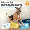 HUND IST KÖNIG Windeln für Hündinnen [3 Stk], XL (Taille Produktbild-Vorschau 2