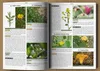 Wilderness Long-Term Survival Guide: Forgotten Skills to Produktbild-Vorschau 2