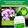 Purgrün Phalaenopsis-Dünger 1 Liter, Produktbild-Vorschau 4