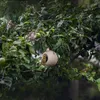 Singing Friend Vogelfutterhalter Lisa grau Produktbild-Vorschau 12